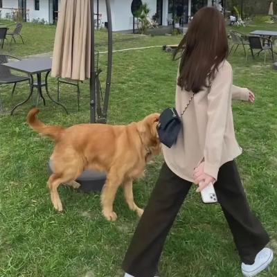 情陷撒哈拉